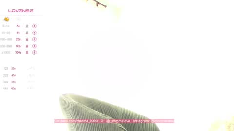 Snapshot of chromebabe_ chatting on January 12, 4:08 pm Gwendy Fox online show from January 12, 4:08 pm