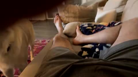 Cjd32 online show from March 2, 4:50 am