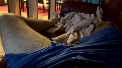 Cjd32 online show from December 13, 9:51 pm