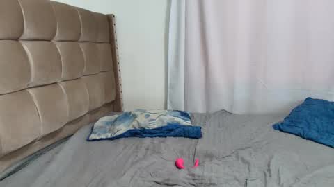 clover online show from November 12, 11:01 am