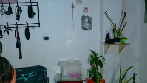 Clyde and Bunny online show from June 6, 3:23 am