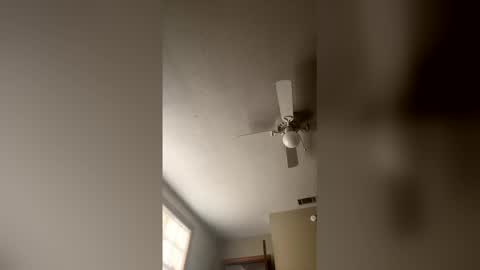 cm653925 online show from February 3, 1:37 pm