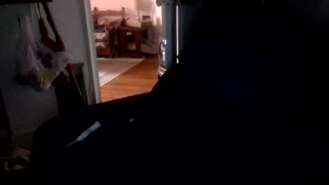 cloudy college boi exhib online show from July 28, 5:24 pm