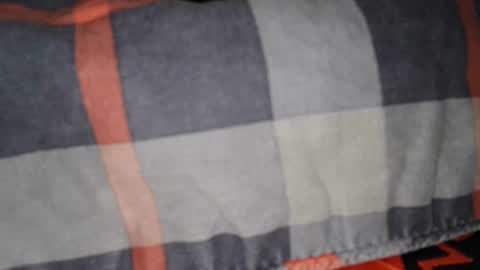 collegecannon online show from December 7, 11:45 am