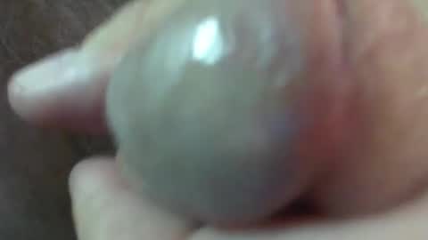 comox online show from January 24, 12:31 am