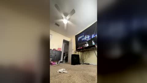 controllercutie online show from June 25, 1:27 pm