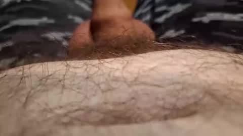 Harry 13 online show from November 30, 7:26 am