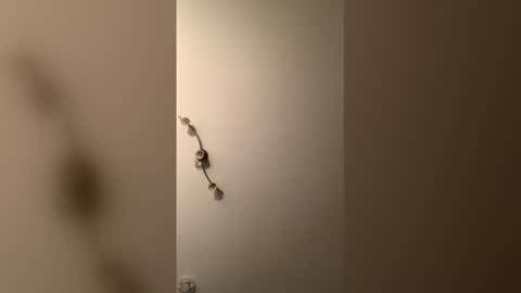 cp1a online show from December 18, 8:37 pm