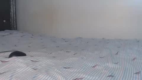 creamybabes0 online show from January 6, 5:33 am