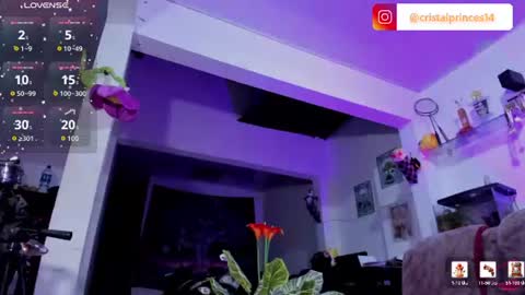 Cristal online show from August 1, 3:19 am