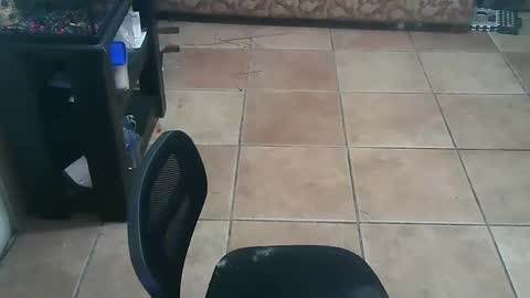 crossdressernola504 online show from September 19, 11:51 pm