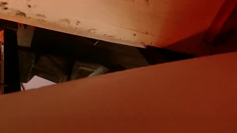 cryan96 online show from February 4, 8:56 am