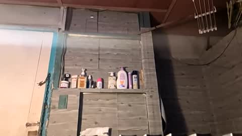 Lauren online show from November 23, 5:22 pm