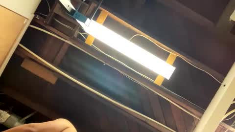 cubinheat online show from December 3, 4:29 pm