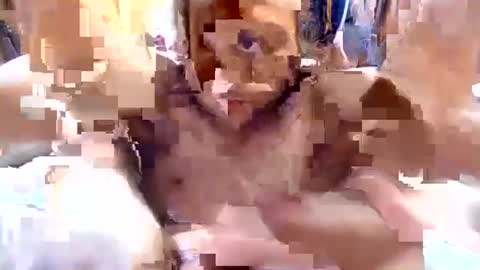 Snapshot of cumfetishswallower chatting on November 2, 10:26 am cumfetishswallower online show from November 2, 10:26 am