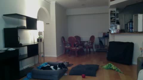 cumfiesta1 online show from February 2, 4:22 pm