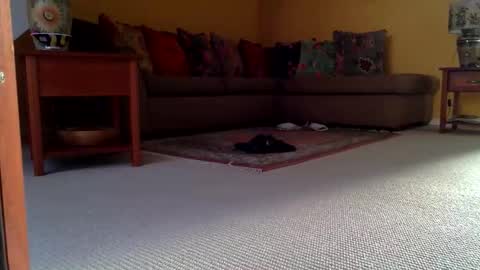 cumonherguys online show from November 8, 8:39 am