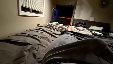 cumvet online show from January 31, 4:47 am