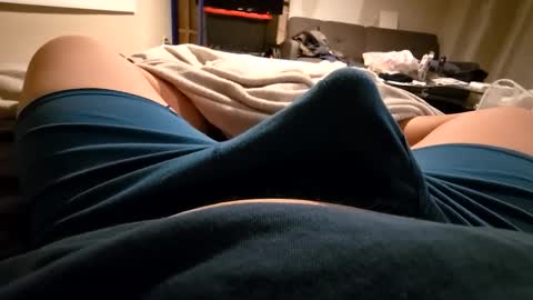 cumvet online show from December 12, 11:36 pm