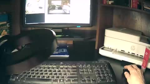 curvelovetool online show from April 20, 2:14 am