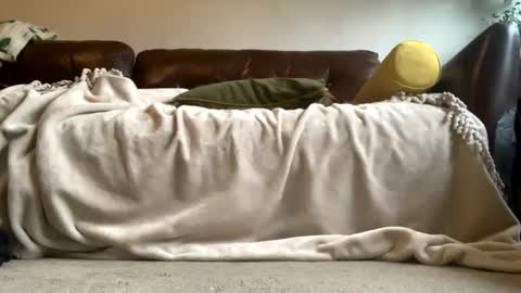 cutestsin online show from November 5, 11:23 am