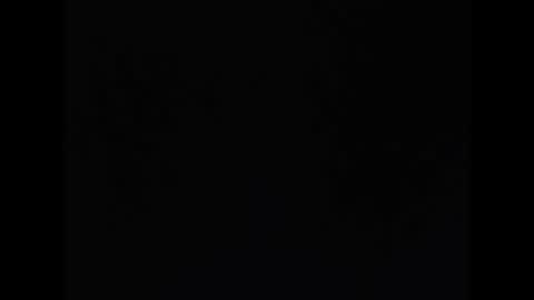 Neil Taylor online show from November 20, 6:56 am