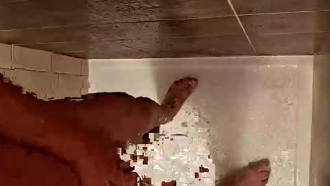 LetsHaveFunTogether online show from October 29, 7:10 am