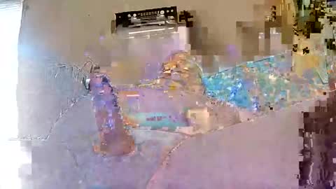 Daddyshome4115 online show from November 25, 9:24 pm