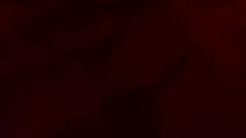 daddywhite88 online show from March 27, 5:24 am