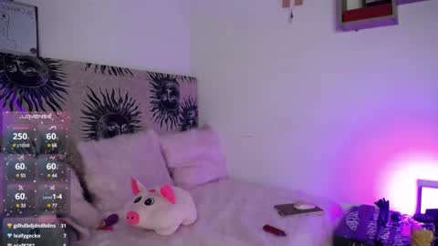 daenerys_cat online show from March 1, 3:05 pm