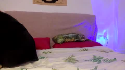 dafnesqueeze online show from January 7, 6:14 pm