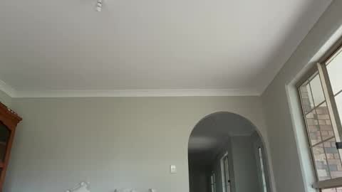 Daisy online show from January 18, 10:08 pm