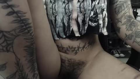 dakota online show from October 3, 3:37 am