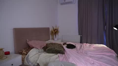 Dasha online show from February 3, 1:15 pm