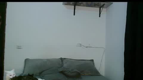 Dan and Noah online show from March 5, 12:27 am