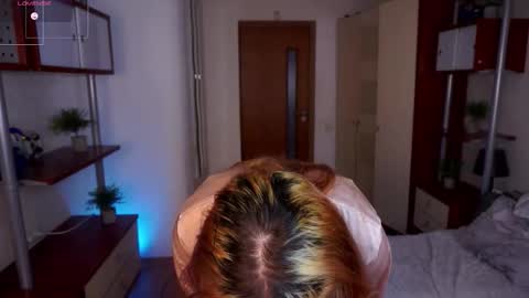 Venice online show from January 19, 6:56 am