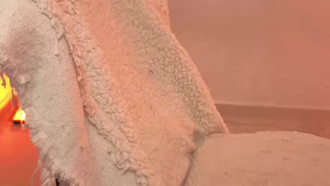 daniela_rivasthl online show from February 15, 5:32 am