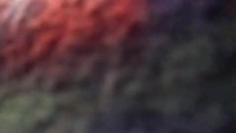 dannowisc online show from April 8, 2:58 am