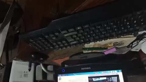 dario48 online show from November 3, 6:47 am