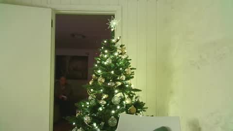 Snapshot of dartanjanas chatting on January 3, 4:06 pm Dario online show from January 3, 4:06 pm