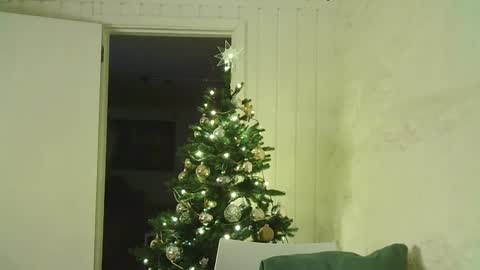 Snapshot of dartanjanas chatting on January 4, 12:27 am Dario online show from January 4, 12:27 am