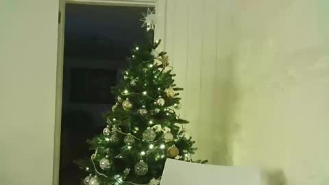 Snapshot of dartanjanas chatting on December 7, 11:51 pm Dario online show from December 7, 11:51 pm