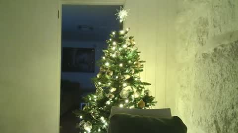 Snapshot of dartanjanas chatting on January 4, 6:19 pm Dario online show from January 4, 6:19 pm