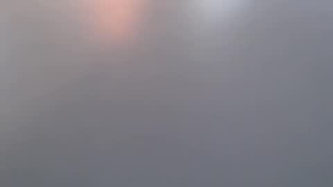 davdao3 online show from March 19, 6:52 am