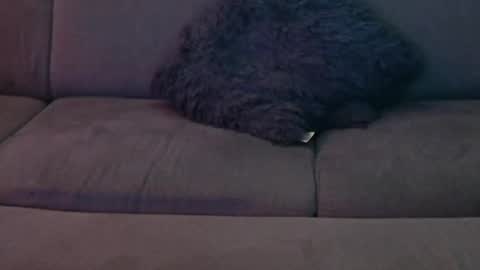 Sophie  Dave online show from January 8, 12:49 am