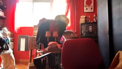 david_argentina online show from October 30, 6:19 pm