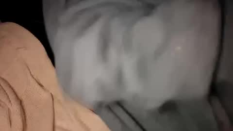 david_stone1969 online show from January 12, 1:23 am