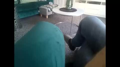 davidf75 online show from November 23, 10:46 am