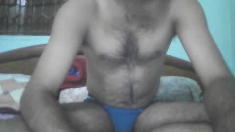 Haddock 07 online show from November 9, 11:57 am