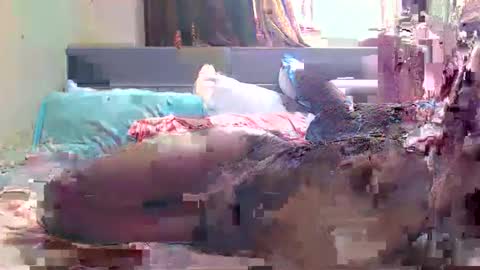 debbyslatter online show from February 21, 9:13 am